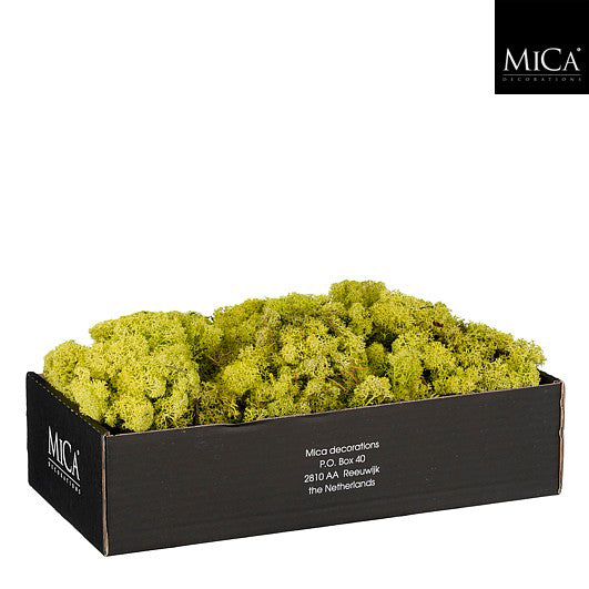 Reindeermoss l. green 500gr - l38xw19,5xh9,5cm