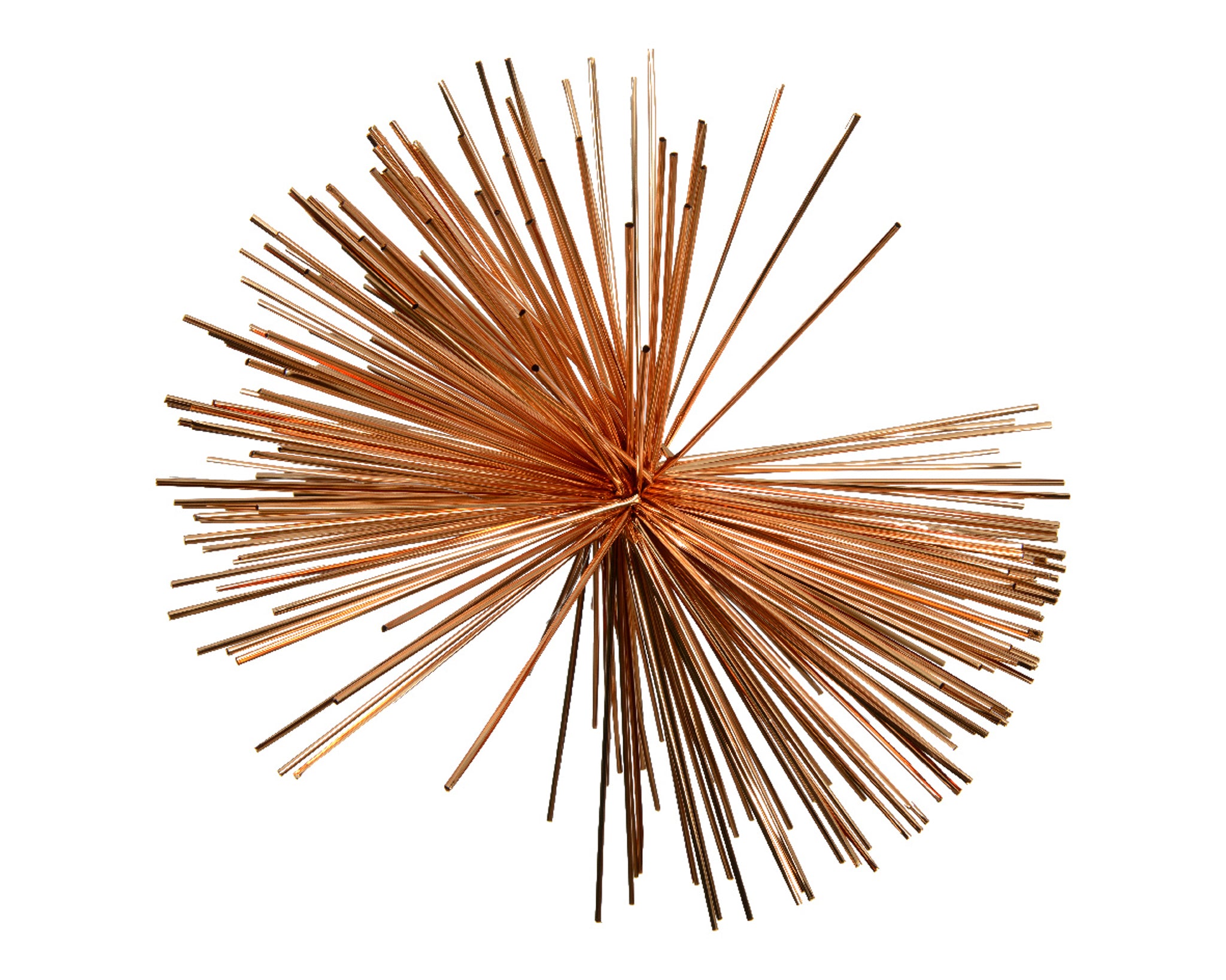 Star pet shiny - brandy Star