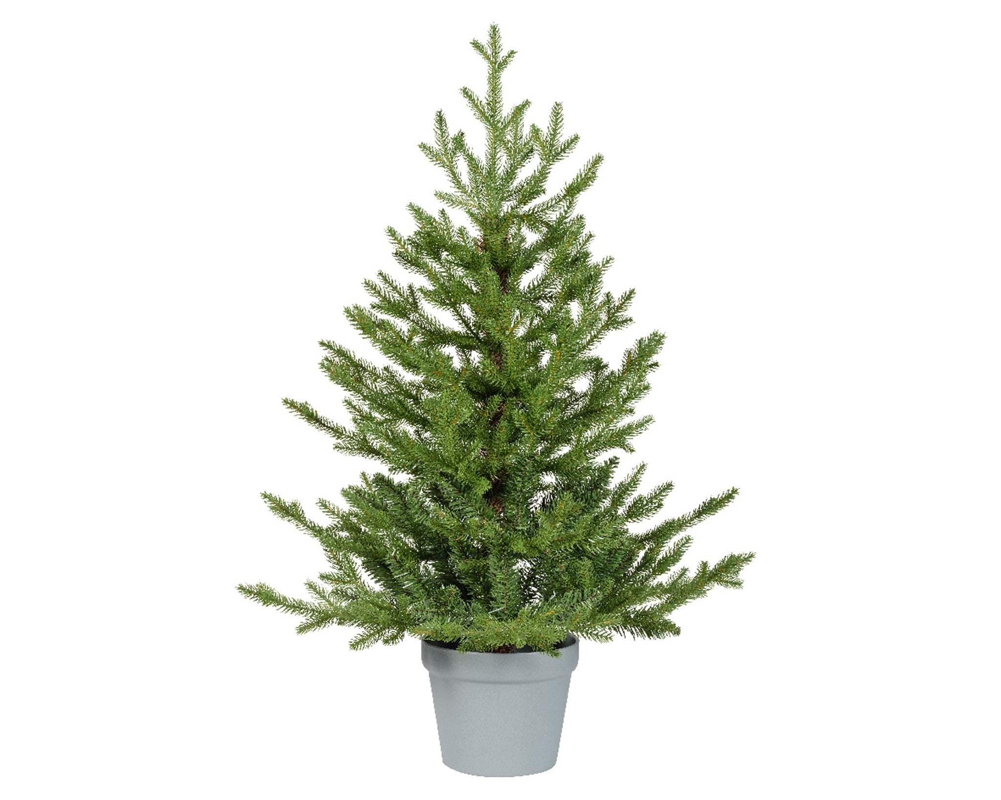 Norway mini tree indoor - green