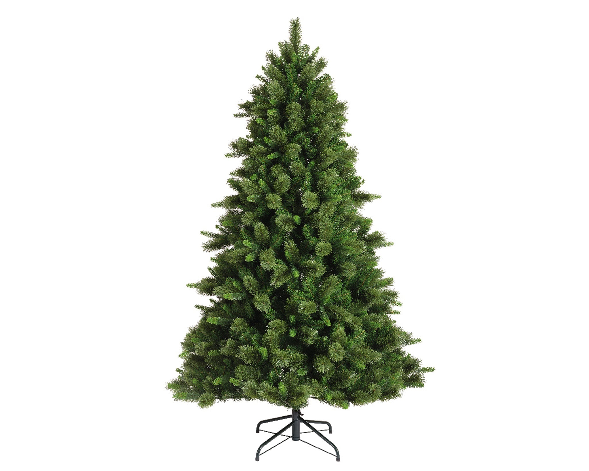 Edmonton spruce - green 7ft