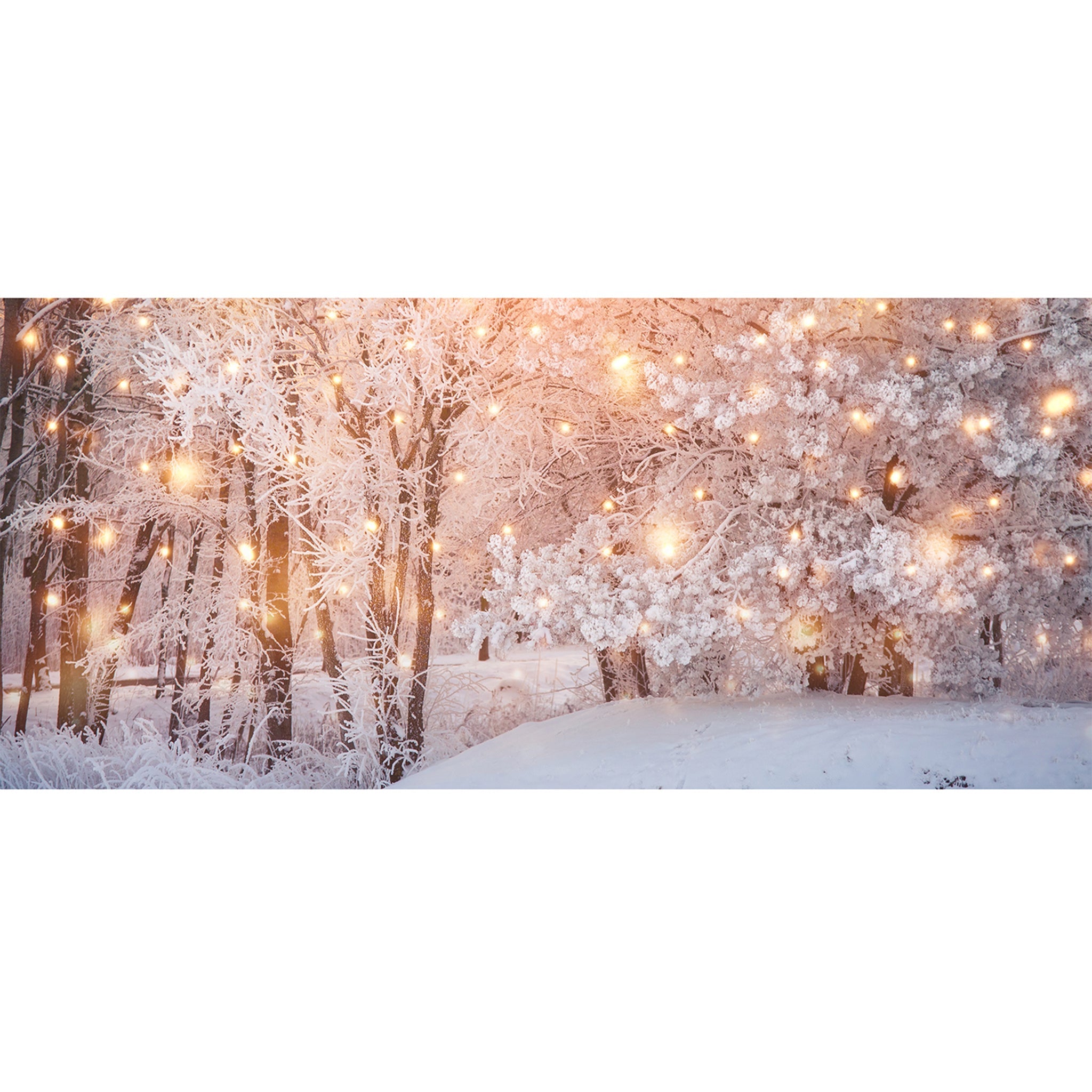 4x1.8m Firefly Snowy Woodland Backdrop