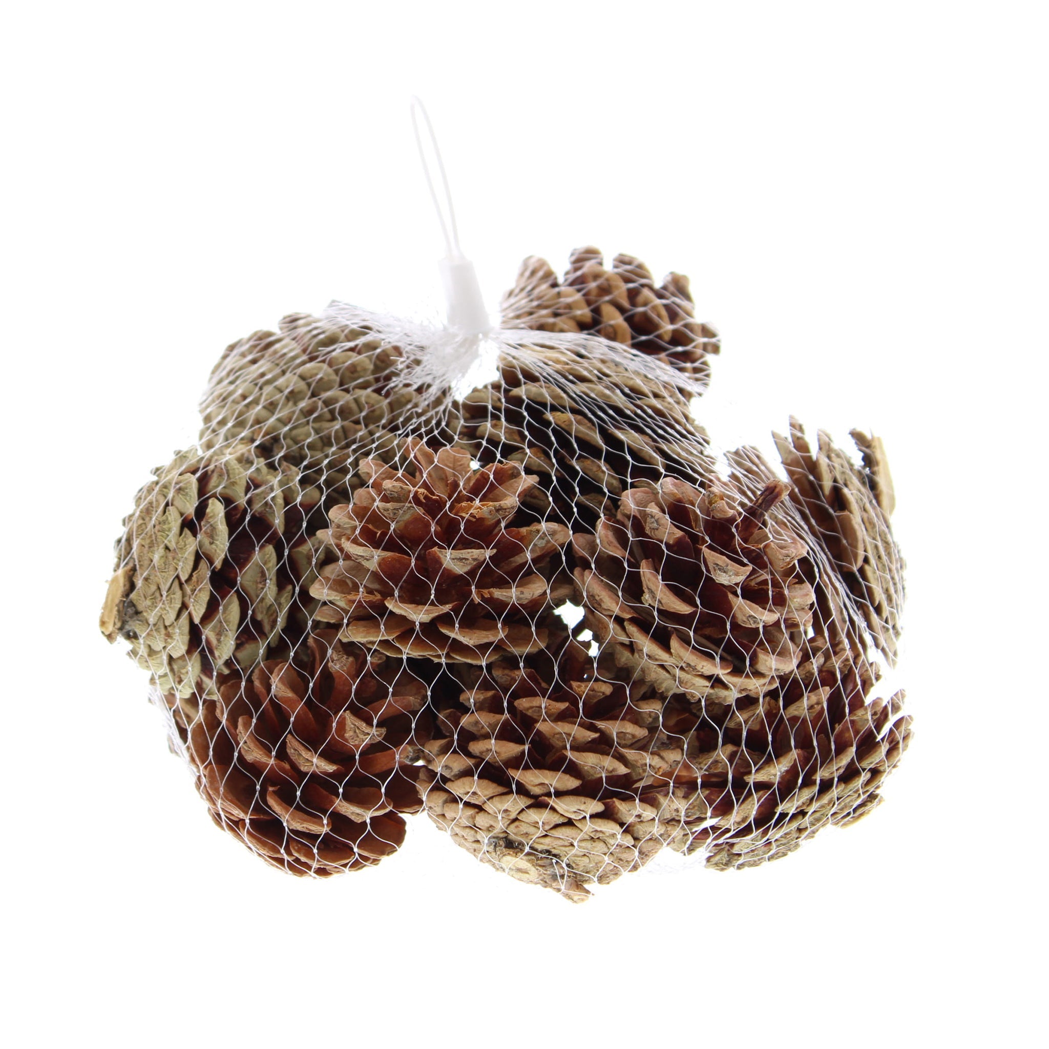 200grm natural pinecones in net bag